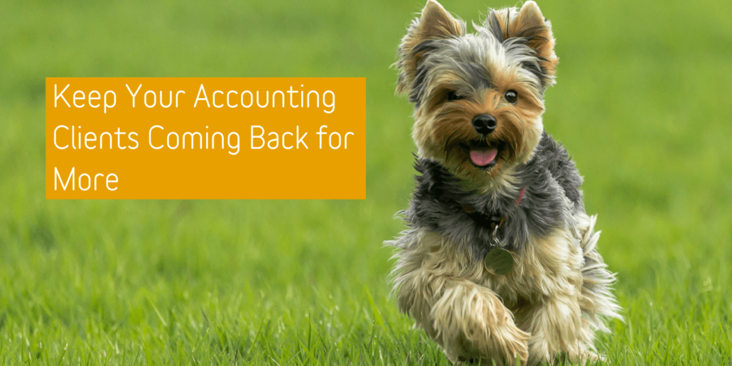 How to Keep Your Accounting Clients Coming Back for More